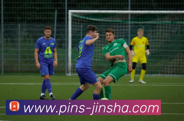 金沙娱乐平台生态图